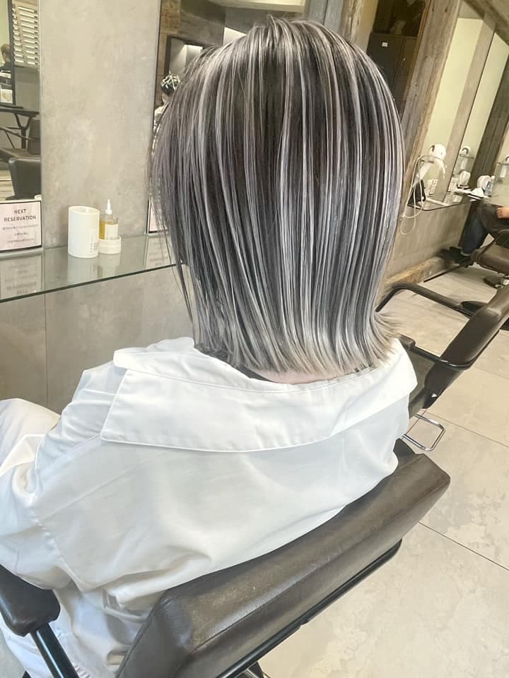 Dark Brown × Silver White Highlight Bob