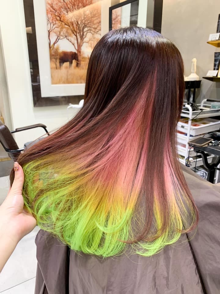 Pink × Green Multi-Color Gradation Long
