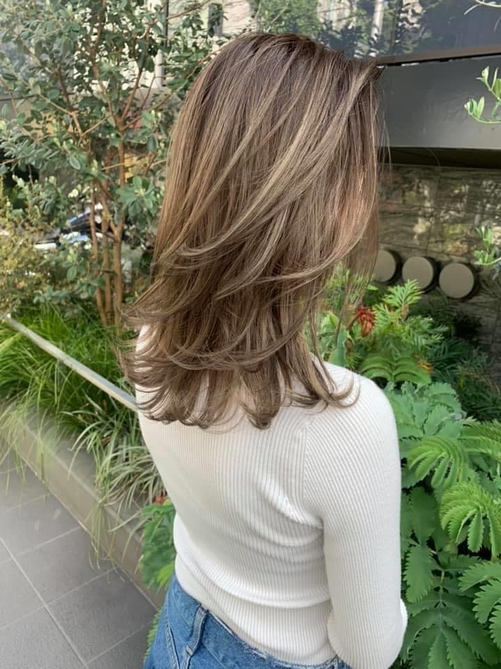 Brown Layered Highlight Long Layered