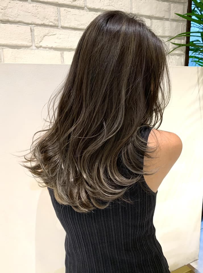 Dark Brown Silver Gray Highlight Long