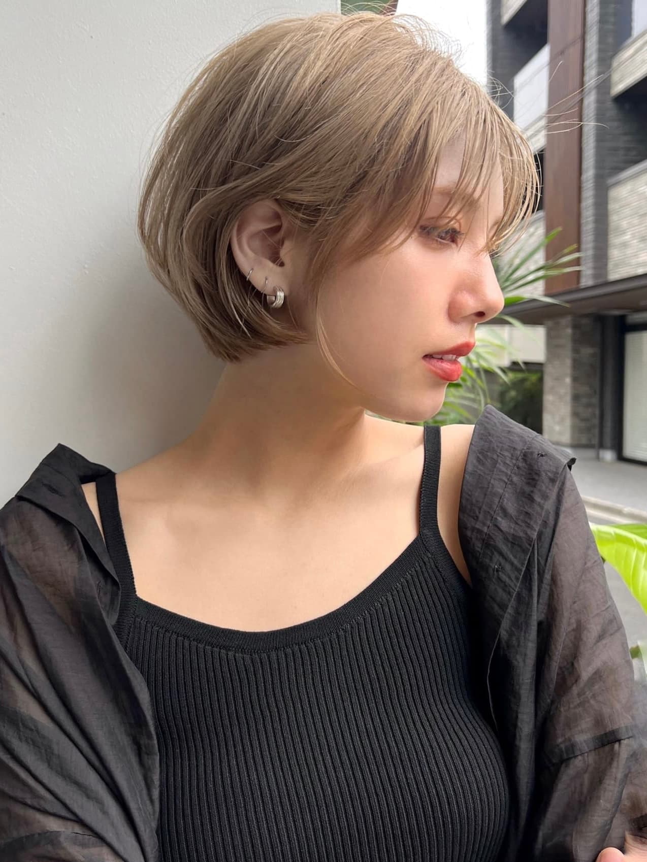 高亮米色的 的短波波头