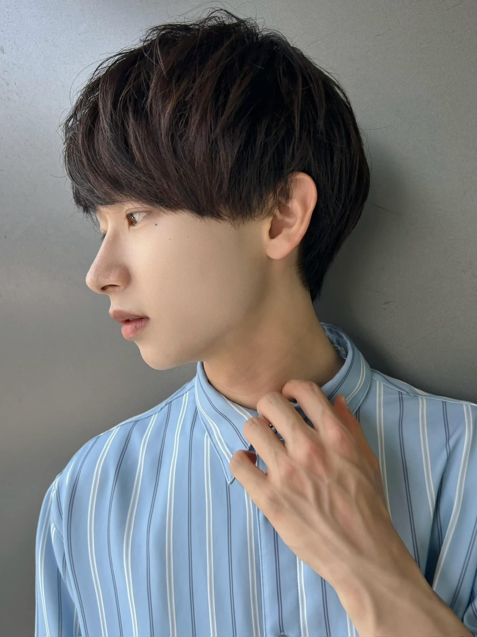Dark Brown Mushroom Short