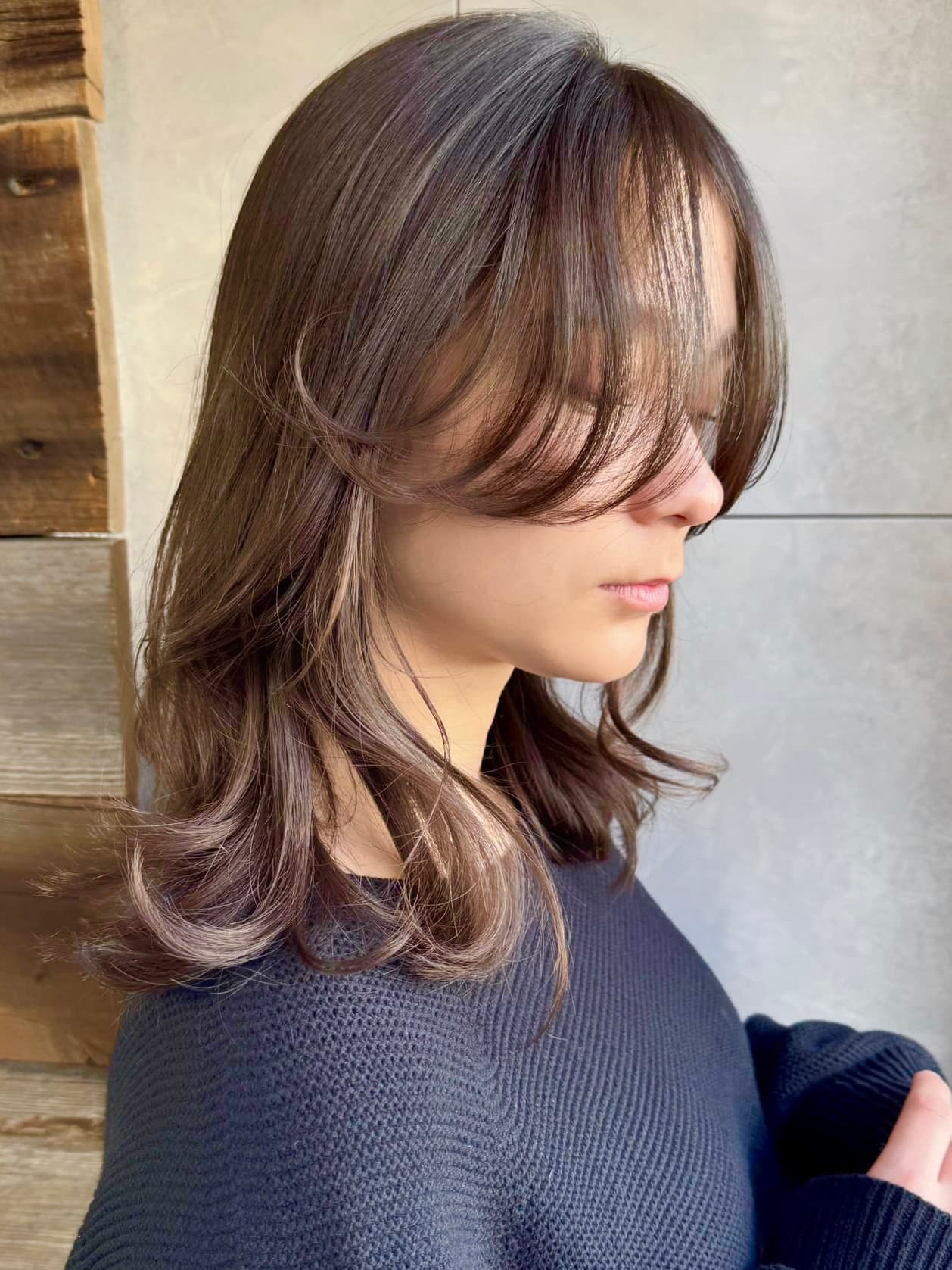 Dark Brown Silver Gray Highlight Bob
