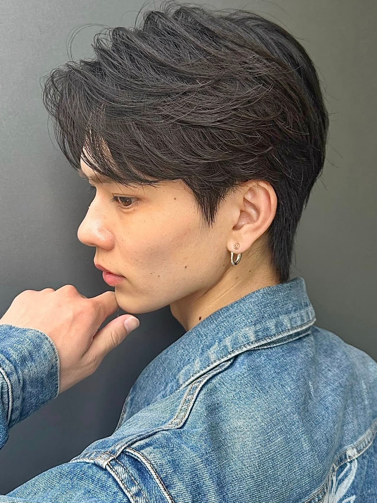 Dark Brown Highlights Wolf